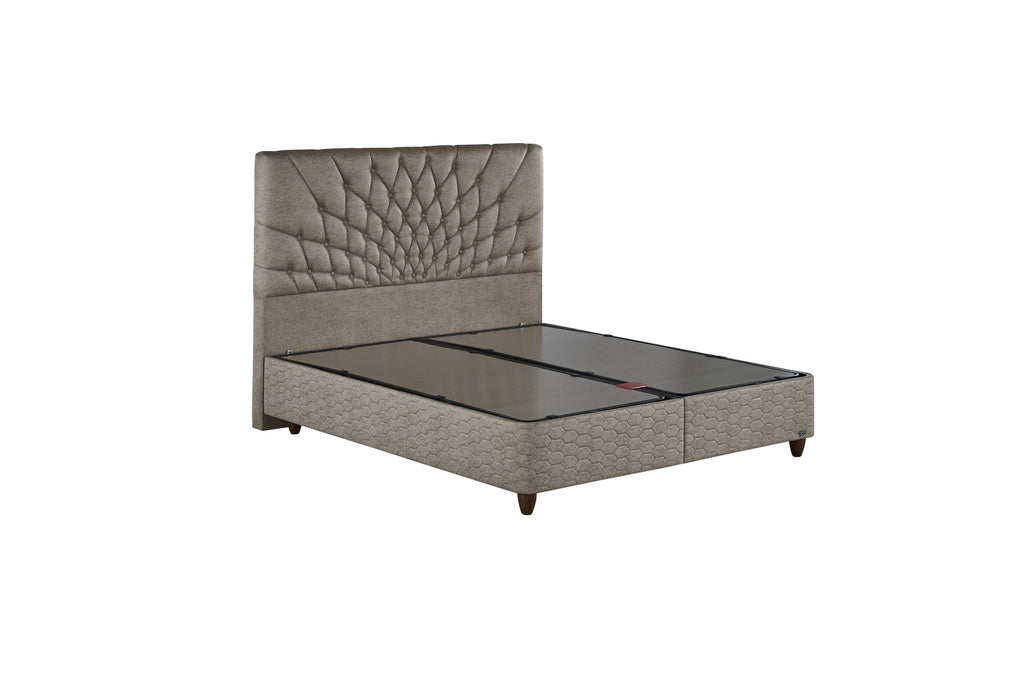 Bett Ocaliptus